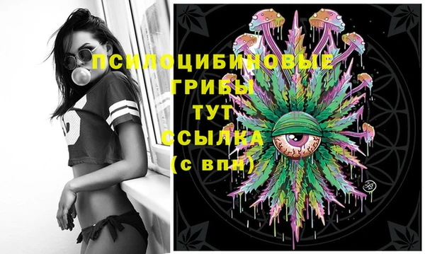 тгк Аркадак