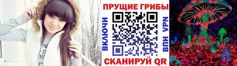 Псилоцибиновые грибы Cubensis  Почеп 